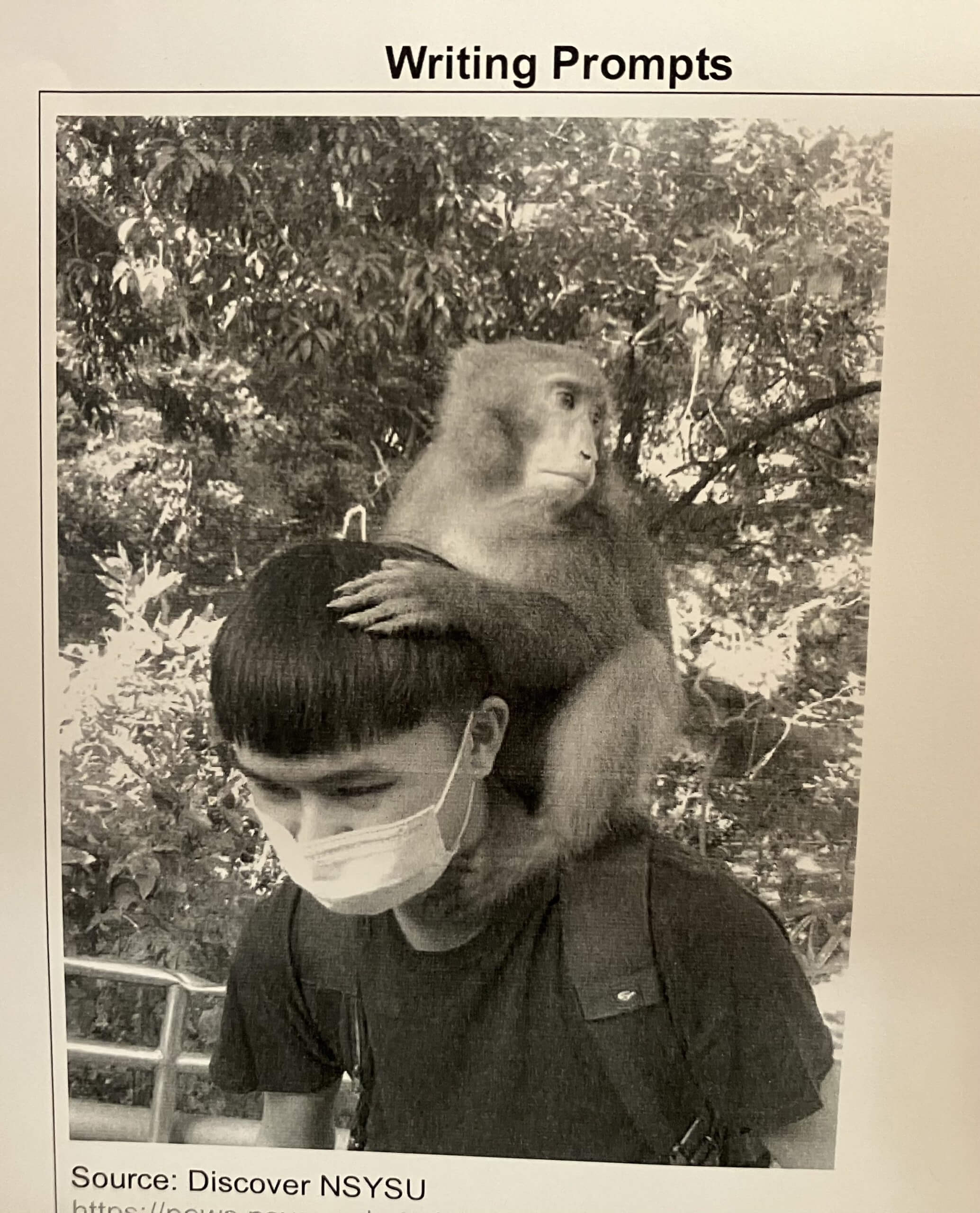 活動成果】獼猴互動入題中山大學英語寫作融入校園日常- 國立中山大學西灣學院