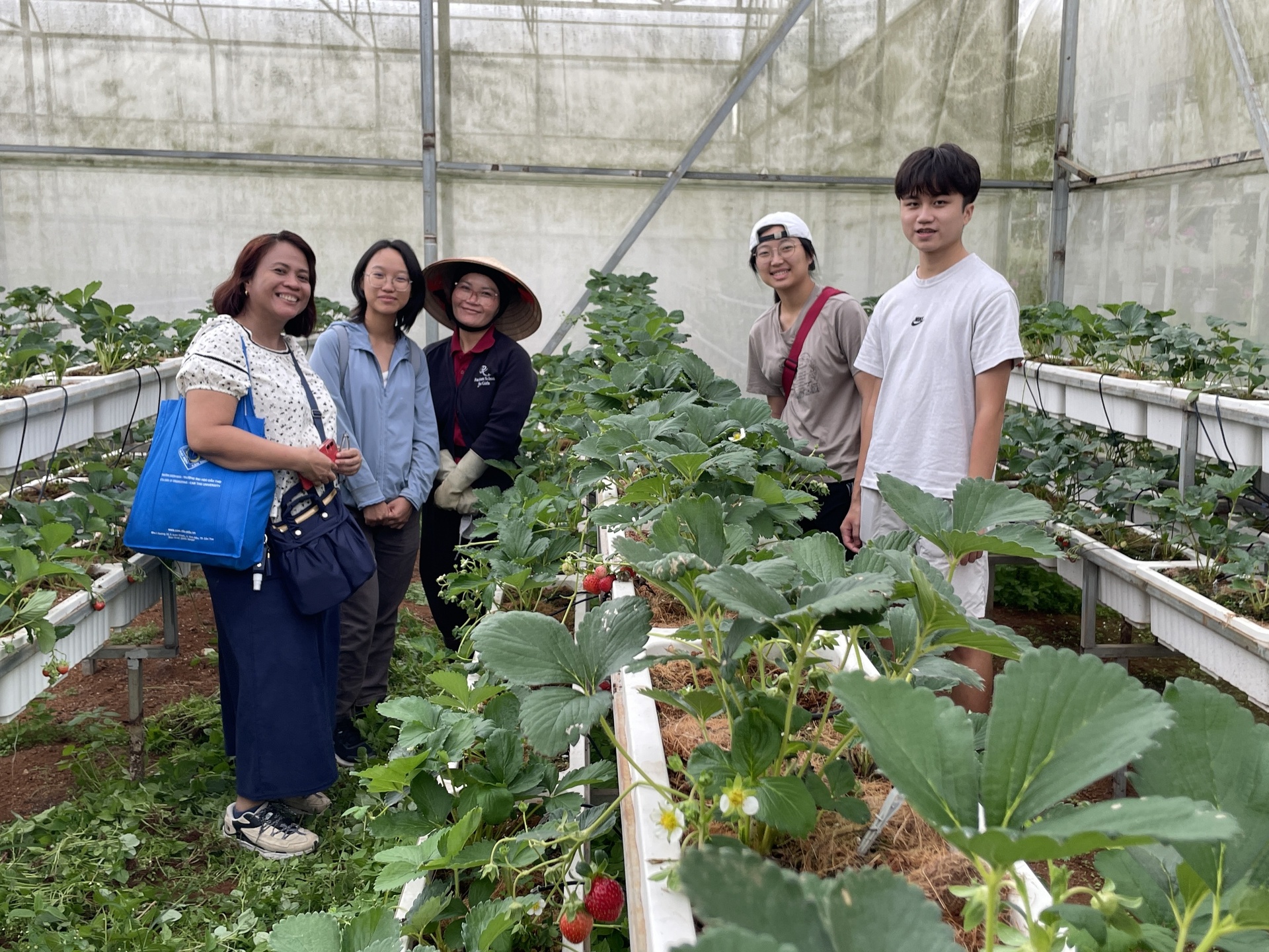 16_大叻溫室種植技術學習(點擊全頁檢視)圖片