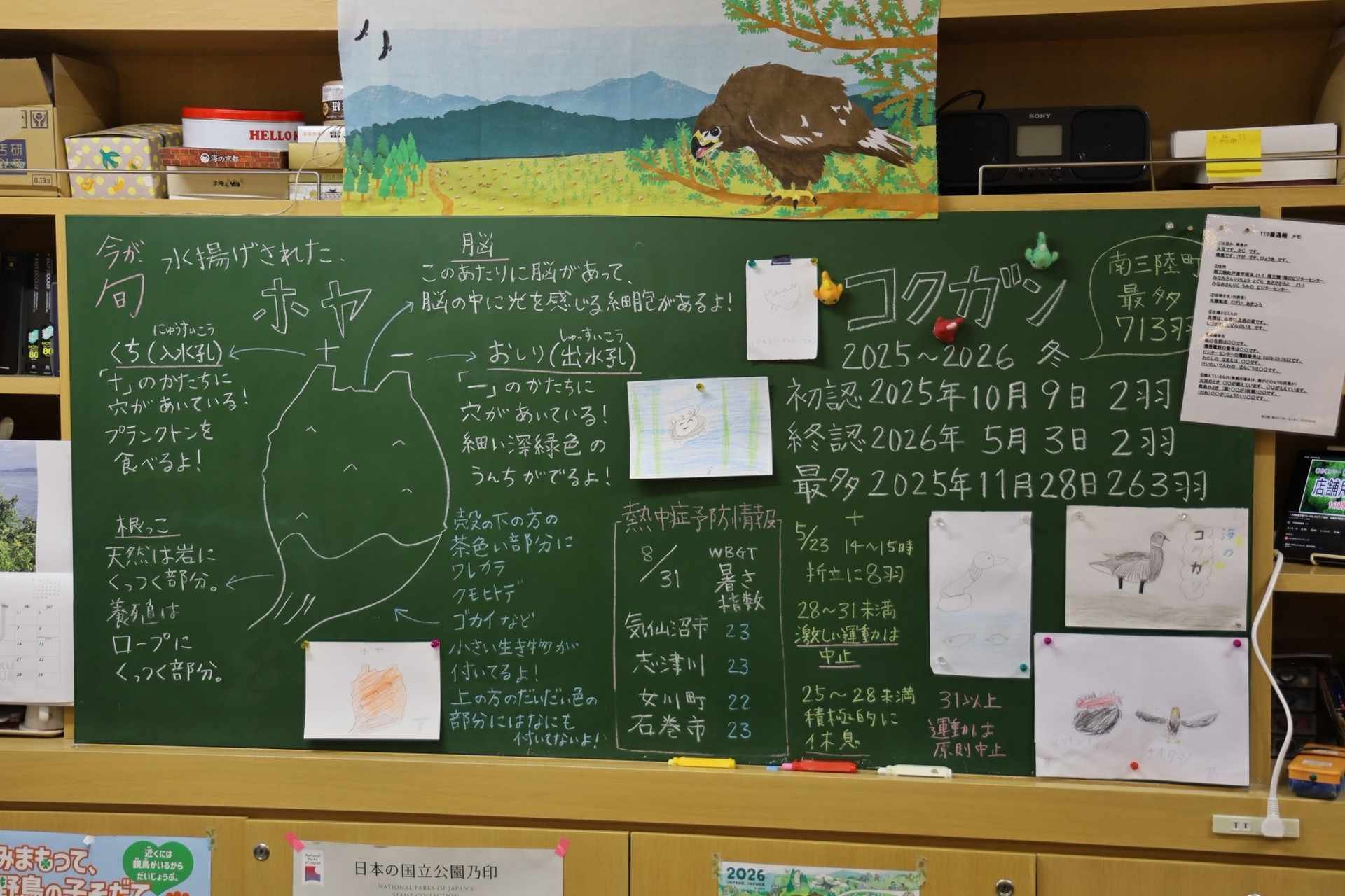 從震災廢墟到復興 社創所國際見學走訪日本南三陸町(點擊全頁檢視)圖片