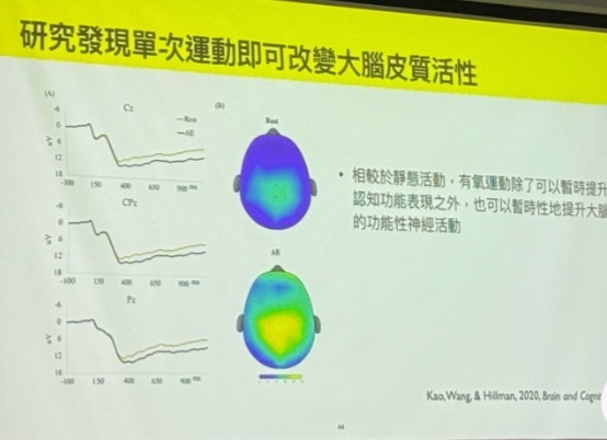運動可以暫時性的提升認知功能(點擊全頁檢視)圖片