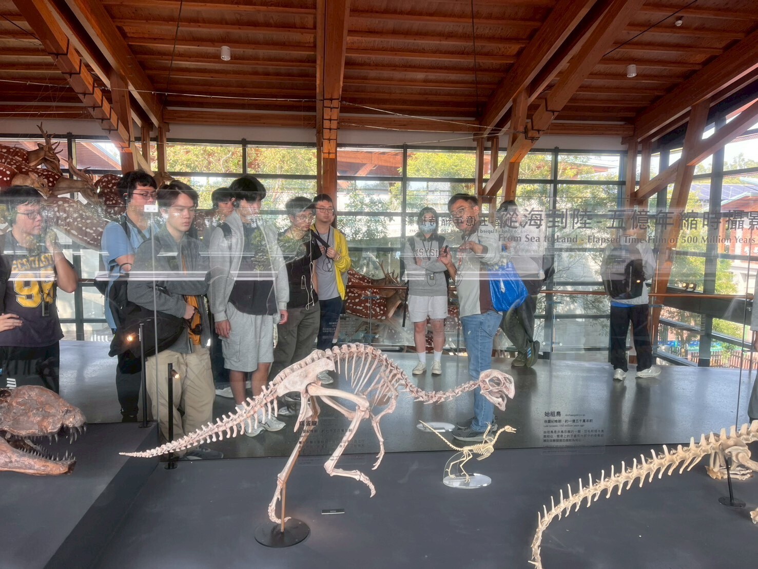 導覽員詳細解說過程(點擊全頁檢視)圖片