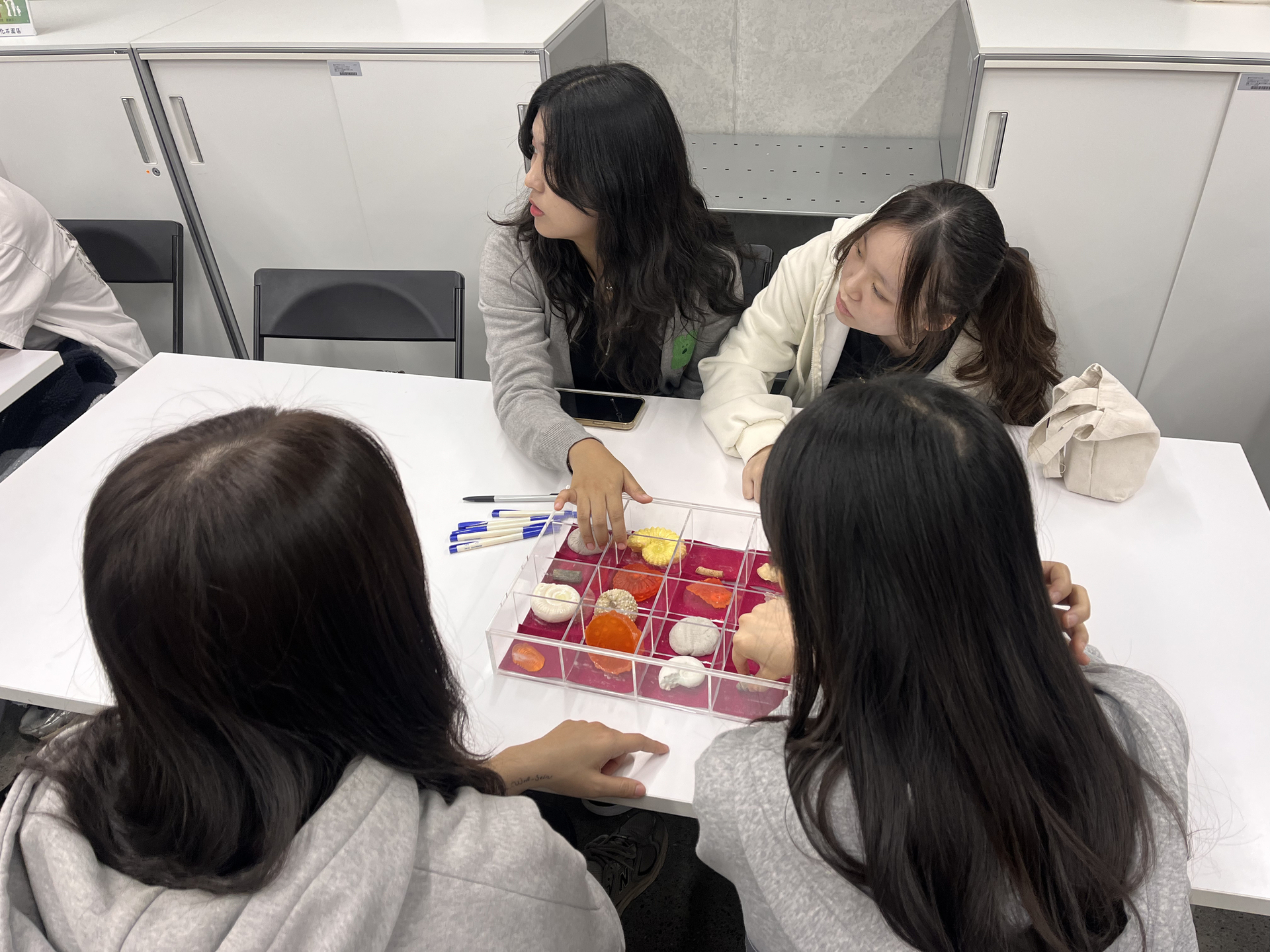 環境教育課程的真假化石判斷(點擊全頁檢視)圖片