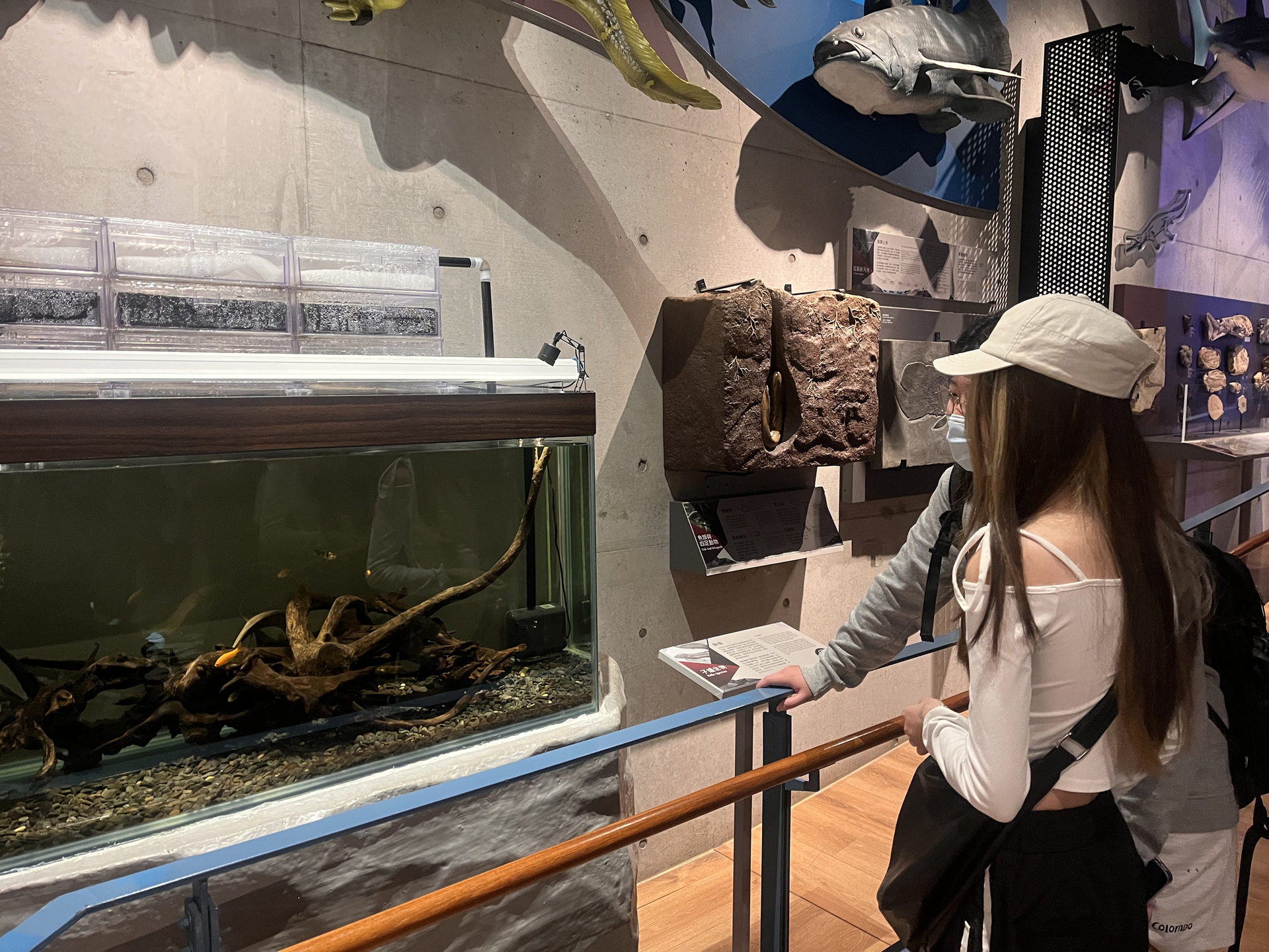 同學們專心觀看活化石「肺魚」的水族缸(點擊全頁檢視)圖片