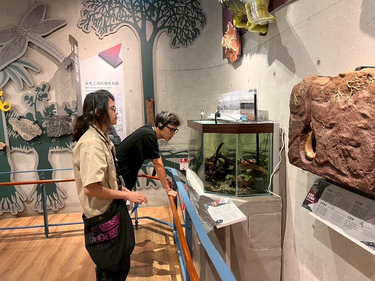 三億年前便存在於地球上的生物_肺魚（Lungfish)(點擊全頁檢視)圖片