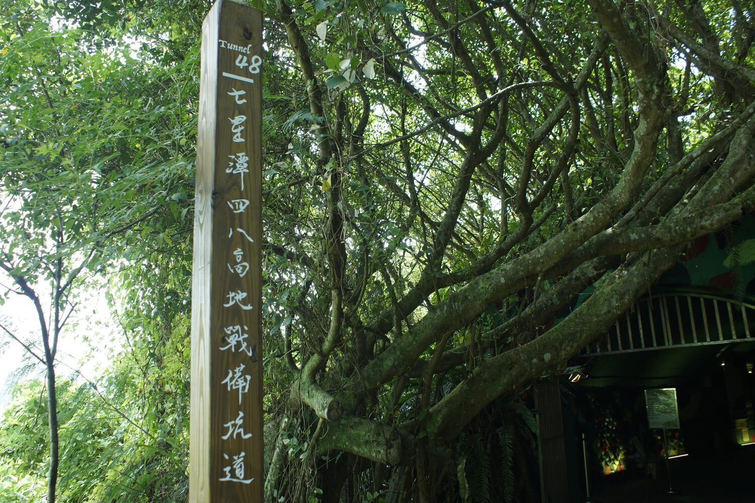 洄遊七星潭　名廚指點中山學生料理創意餐盒(點擊全頁檢視)圖片